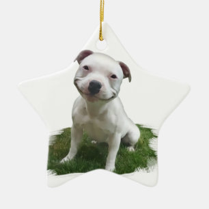 Lächelndes Pittie Keramik Ornament