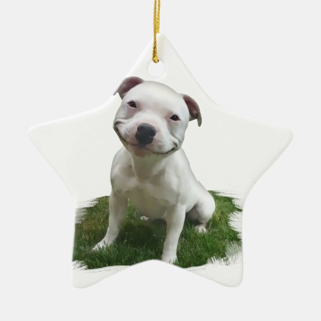Lächelndes Pittie Keramik Ornament (Vorne)