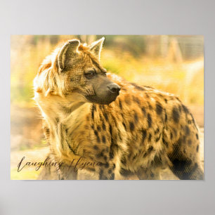 Lachen Hyena ポ ス タ Poster