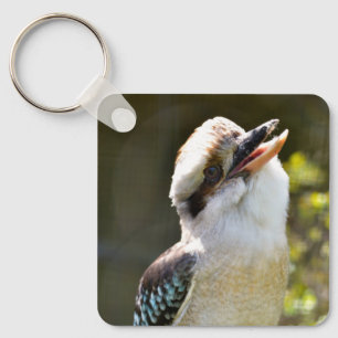 Lachen Kookaburra auf der Zweigstelle Postcard Squ Schlüsselanhänger