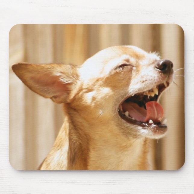 Lachende Chihuahua Mousepad (Vorne)