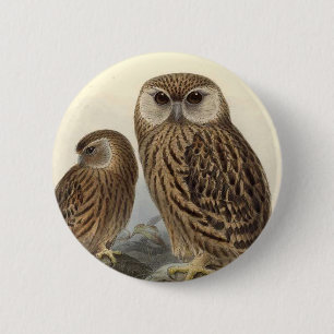 Lachende Eulen-Vintage Illustration Button