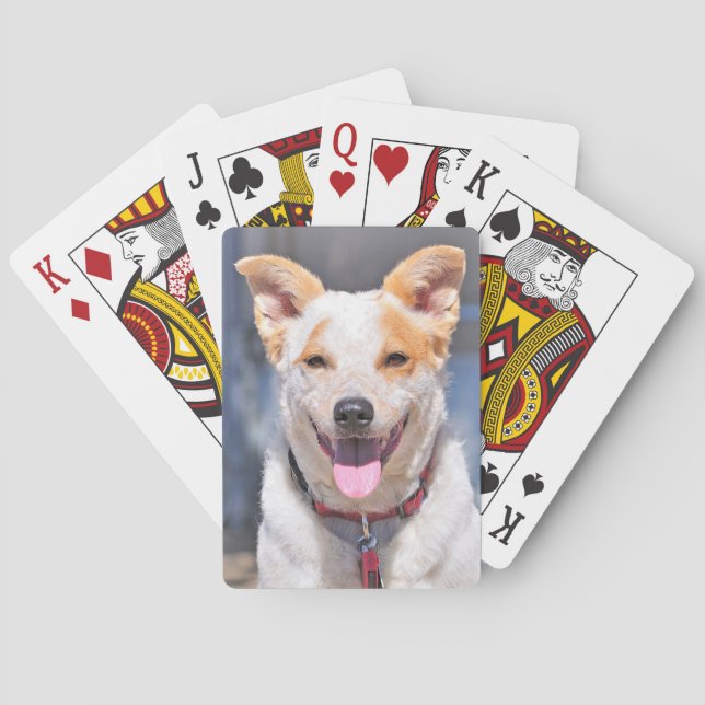 Lachende Hundespielkarten Spielkarten (Rückseite)