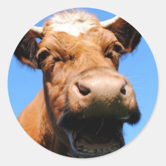 Lachende Kuh Runder Aufkleber