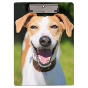Lachender Hund Getty Bild- Klemmbrett
