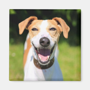 Lachender Hund Getty Bild- Magnet