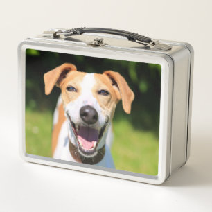 Lachender Hund Getty Bild- Metall Lunch Box