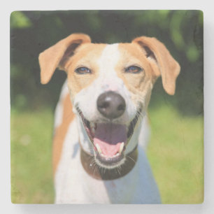Lachender Hund Getty Bild-  Steinuntersetzer