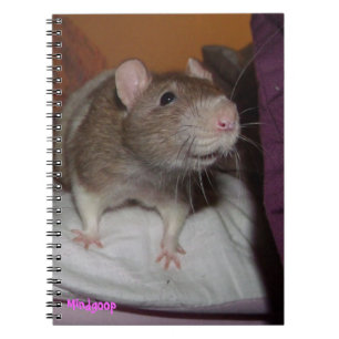 lachendes gewundenes Notizbuch der Ratte Notizblock
