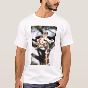 Lachhaft gesichtige reticulated Giraffe, San Franc T-Shirt
