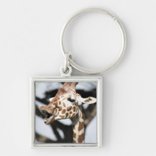 Lachhaftes Gesicht einer Netz-Giraffe, San Francis Schlüsselanhänger