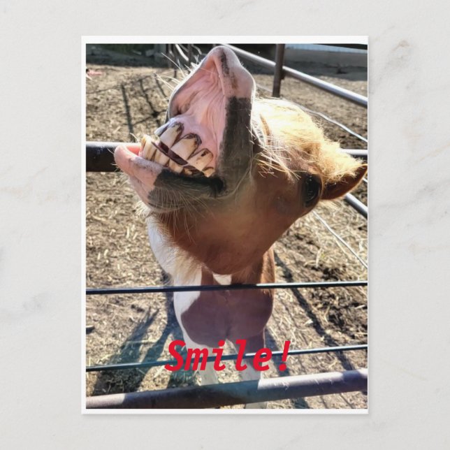 Lächle! Postkarte (Vorderseite)