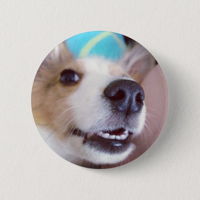 Lächle! Taste "Sheltie" Button (Vorderseite)
