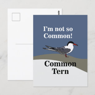 Lachmöwe Seevogel Vogel Lustig Postkarte
