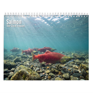 Lachs 2027 Wandkalender
