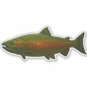 Lachs-Ausschneide-Sticker Aufkleber