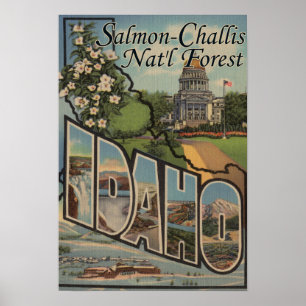 Lachs-Challis staatlicher Wald, Idaho Poster