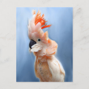 Lachs Created Cockatoo Postkarten