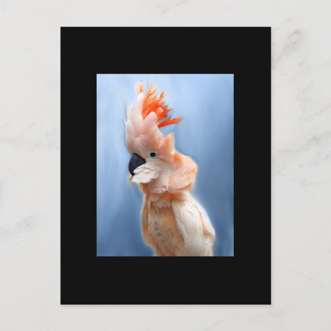 Lachs Crested Cockatoo ACEO Art Trading Card Postkarte (Vorderseite)