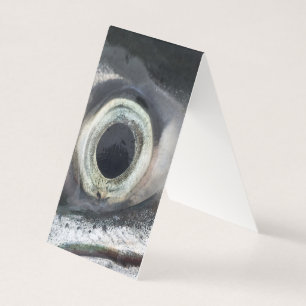 Lachs Eye