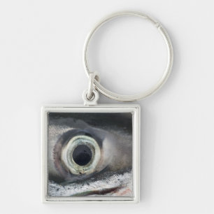 Lachs Eye Schlüsselanhänger