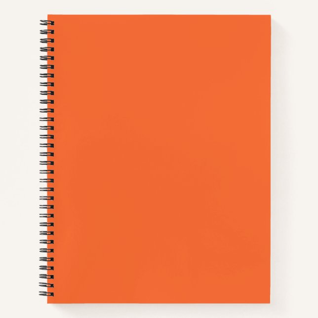 Lachs Notizbuch (Vorderseite)
