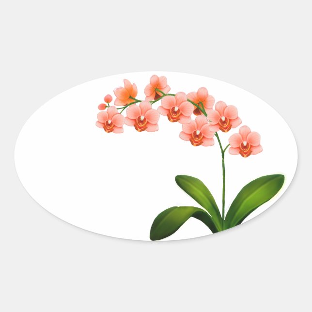 Lachs Pink Phalaenopsis Orchid Blume Stickers (Vorderseite)