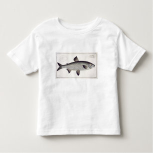Lachs (Salmo Maraena) Platte XXVII von 'Ichthyolo Kleinkind T-shirt