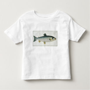 Lachs (Salmo Salar) Platte XX von 'Ichthyologie, Kleinkind T-shirt