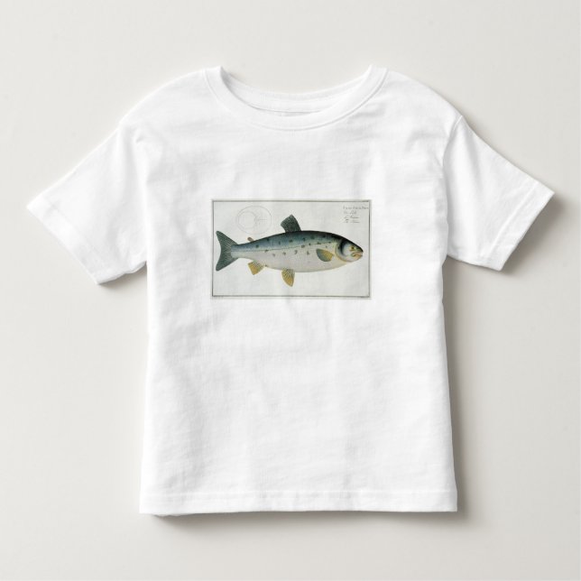 Lachs (Salmo Salar) Platte XX von 'Ichthyologie, Kleinkind T-shirt (Vorderseite)