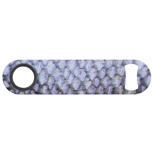Lachs Speed Flaschenöffner (Vorderseite (Horizontal))