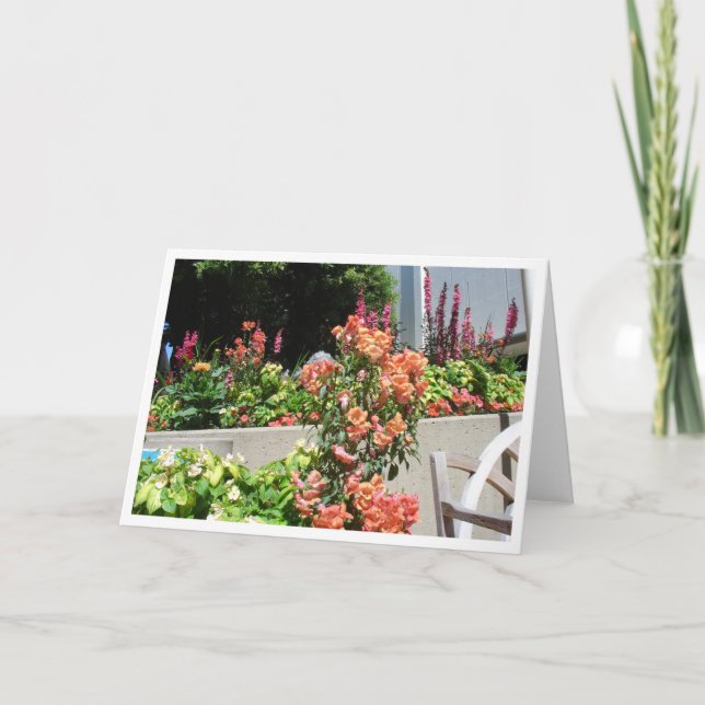 Lachse in der Blüte Karte (Vorderseite)