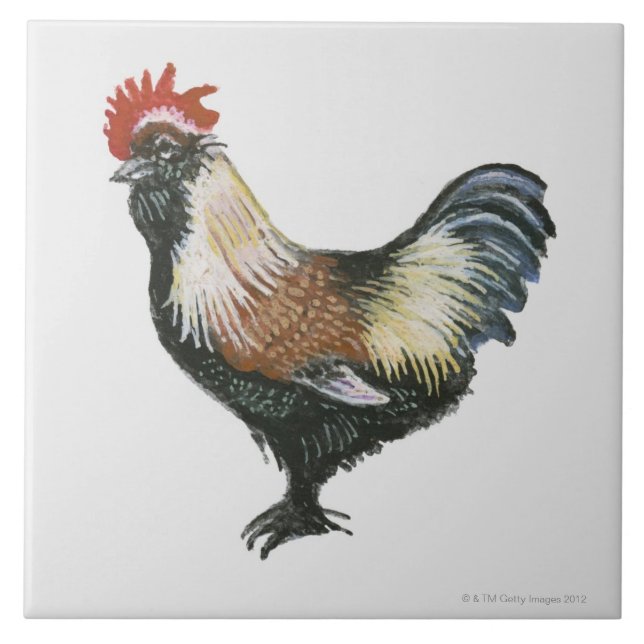 LachsFaverolles Huhn Fliese (Vorderseite)