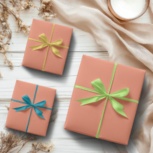 Lachsrosa Uni-Farbe Klassisch Elegant Geschenkpapier Set