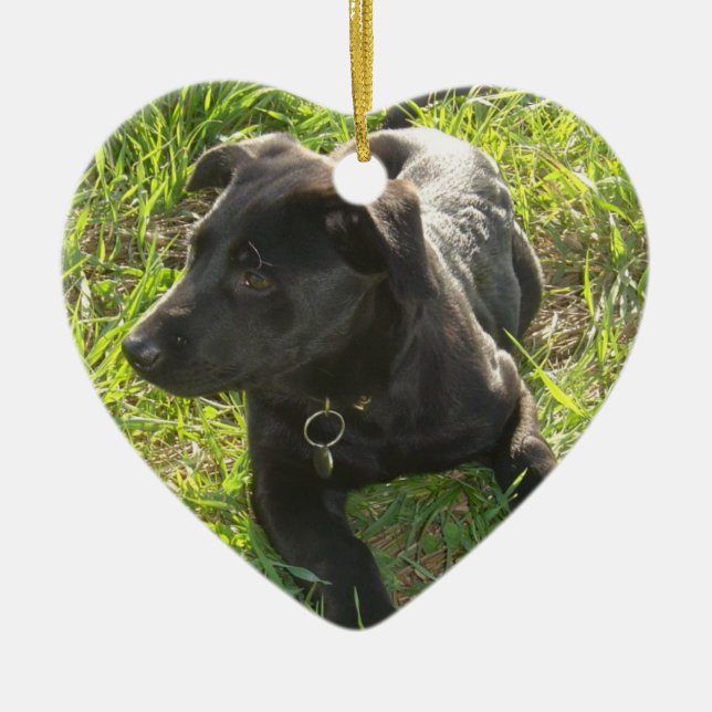 Lack-schwarzer Schäferhund-Welpe Keramik Ornament (Vorne)