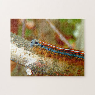 Lackey Moth Raupe Foto Puzzle mit Geschenkboxen