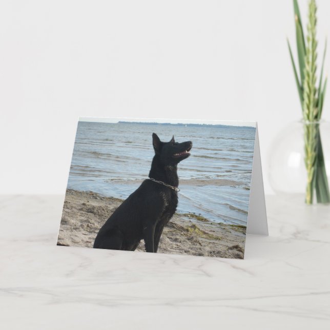 Lacquer Black German Shepherd Karte (Vorderseite)