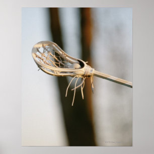 Lacrosse Stick Poster