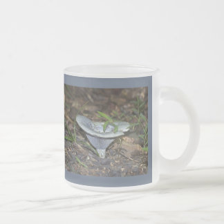 Lactarius indigo Blauer Pilz Mattglastasse