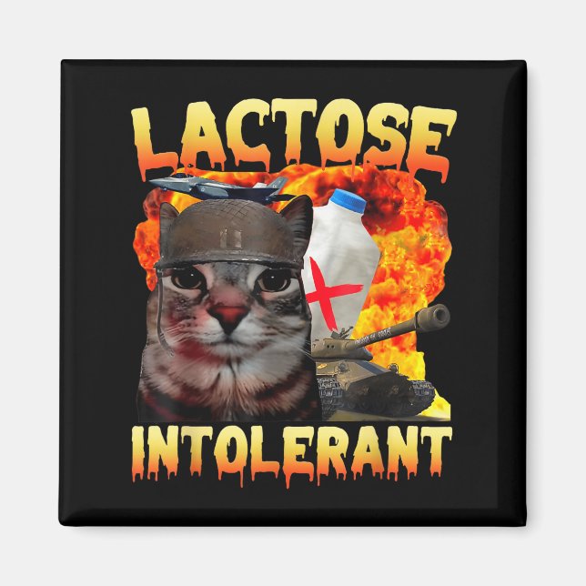 Lactose Intolerant Silly Cat Meme Funny Saying Cat Magnet (Vorne)