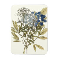 Lacy-Blätter - Blume und Grünflächen