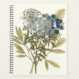Lacy-Blätter - Blume und Grünflächen Planer