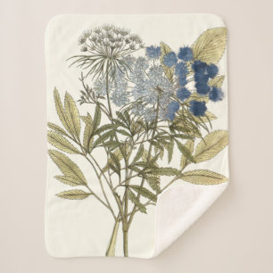 Lacy-Blätter - Blume und Grünflächen Sherpadecke