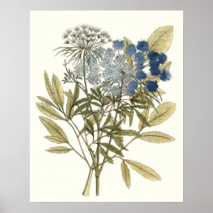 Lacy Blätter - Blumen und Grün Poster