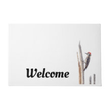 Ladder-Backed Woodpecker