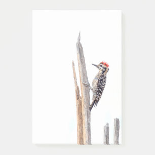Ladder-Backed Woodpecker Post-it Klebezettel