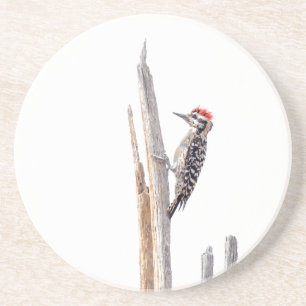Ladder-Backed Woodpecker Sandstein Untersetzer