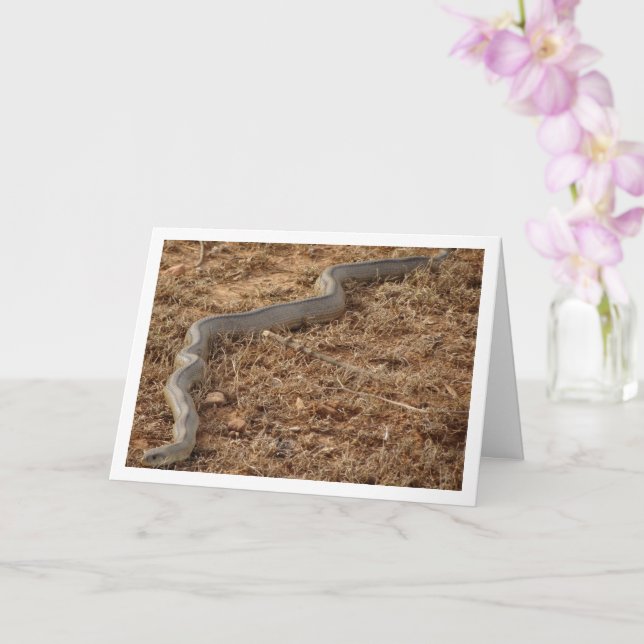 Ladder Snake Card Karte (Orchidee)