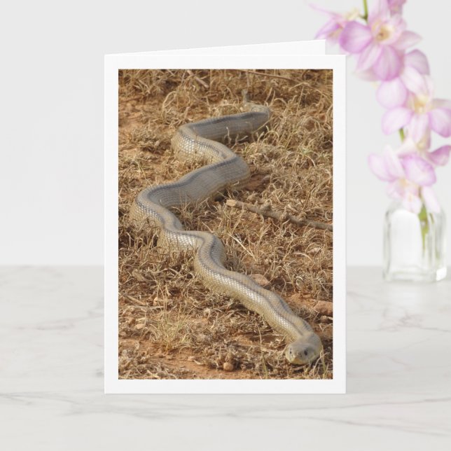 Ladder Snake Card Karte (Orchidee)