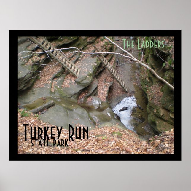 Ladders, Turkey Run Staat Park Poster (Vorne)